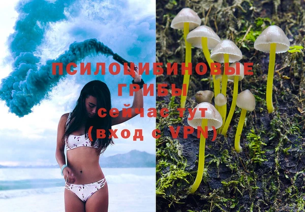 Альфа ПВП Баксан